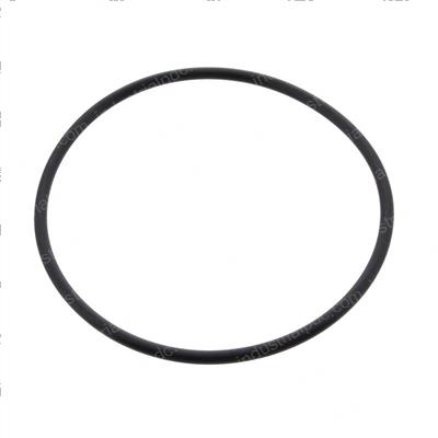 Picture of O-Ring