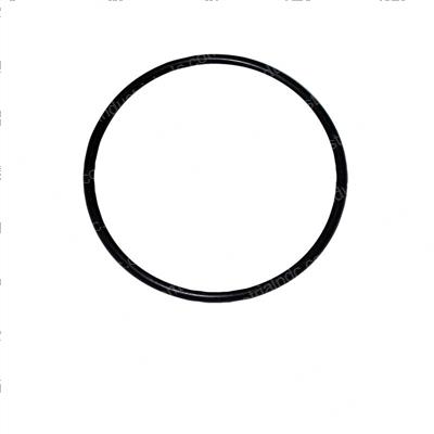 Picture of O-Ring