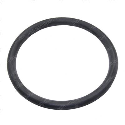Picture of O-Ring