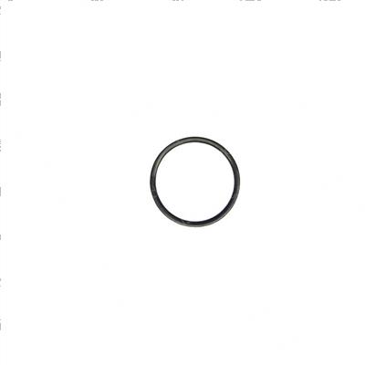 Picture of Ring - Back-Up