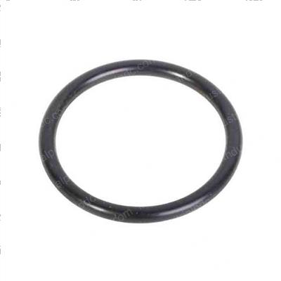 Picture of O-Ring