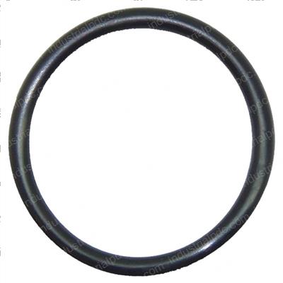 Picture of O-Ring