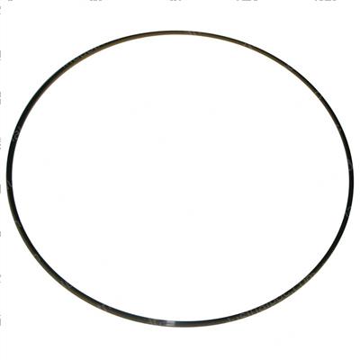 Picture of Ring - Back Up