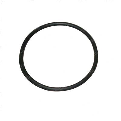 Picture of O-Ring