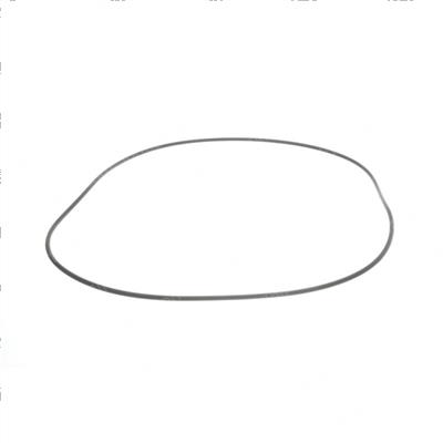 Picture of O-Ring