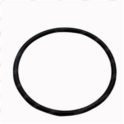 Picture of O-Ring