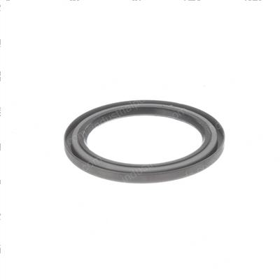 Picture of Seal -  Hub