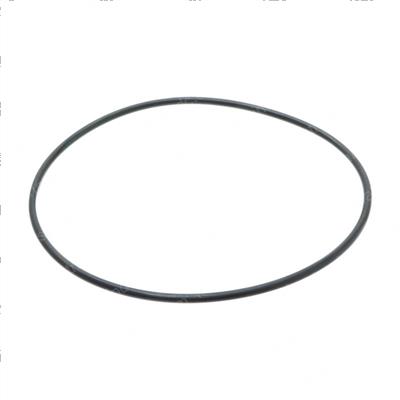 Picture of O-Ring