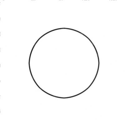 Picture of O-Ring