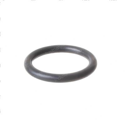 Picture of O-Ring