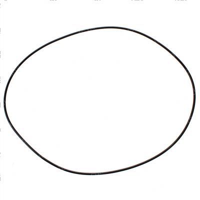 Picture of O-Ring