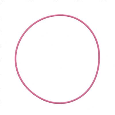 Picture of Oring 101-27x2-62fkm80