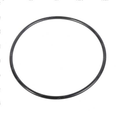 Picture of O-Ring