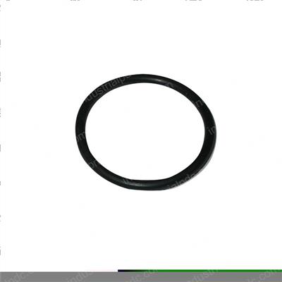 Picture of O-Ring