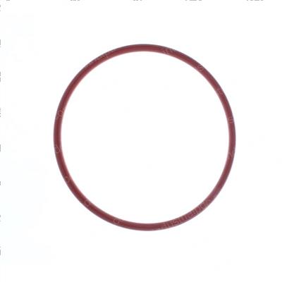 Picture of O-Ring