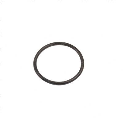 Picture of O-Ring