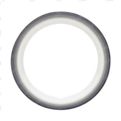 Picture of Ring - Wiper