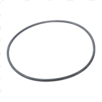 Picture of O-Ring