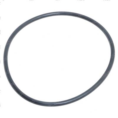Picture of O-Ring