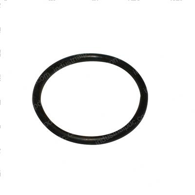 Picture of O-Ring