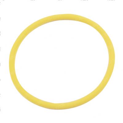 Picture of O-Ring