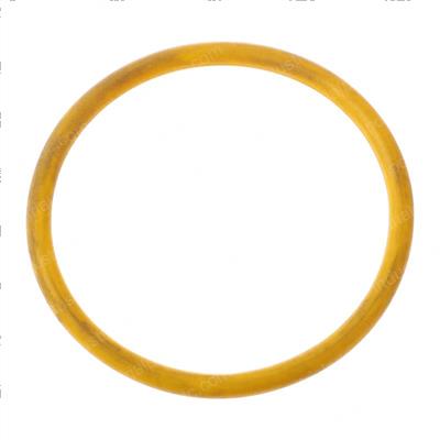 Picture of O-Ring