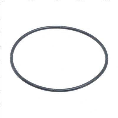 Picture of O-Ring