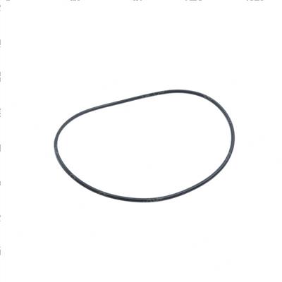 Picture of O Ring Seal