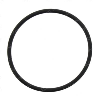 Picture of O-Ring