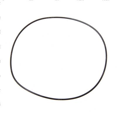 Picture of O-Ring