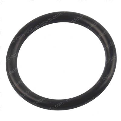Picture of O-Ring