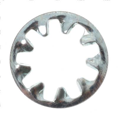Picture of Internal Tooth Washer- 1/4 in