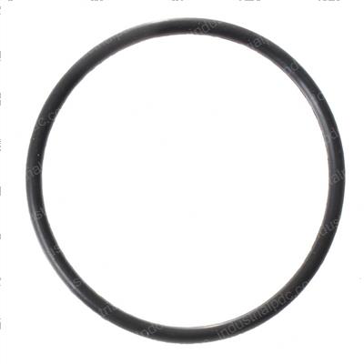 Picture of O-Ring- Elec.diff.2 in O.d.