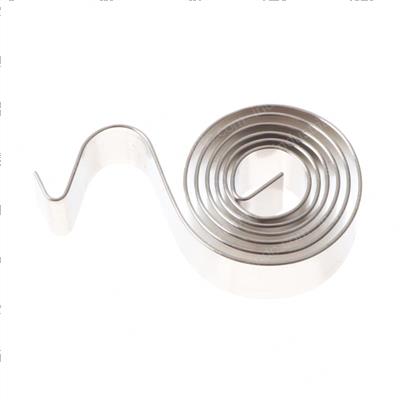 Picture of Brush- Spring