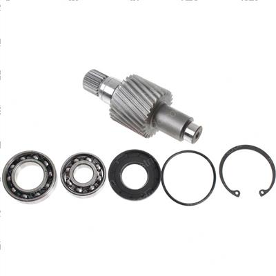Picture of Pinion Kit-10.35 Ratio Axle