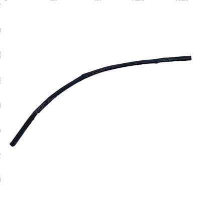 Picture of Seal