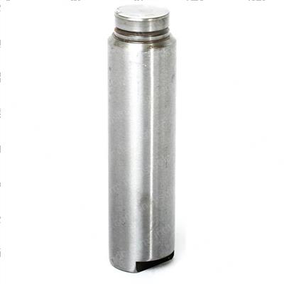 Picture of Pin