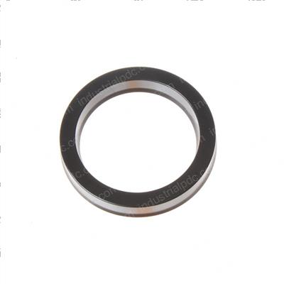 Picture of Seal - Ucup
