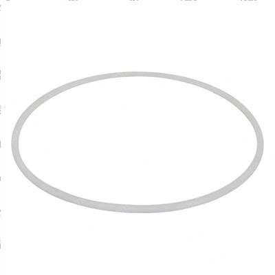 Picture of Ring Backup