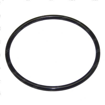 Picture of O-Ring