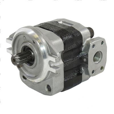 Picture of Hydraulic Gear Pump