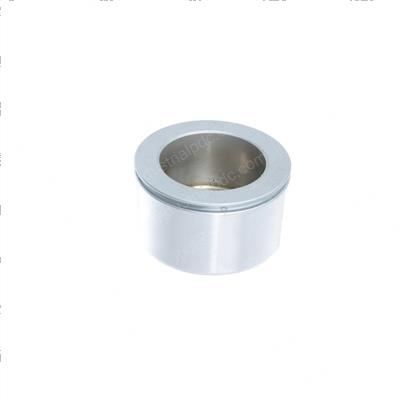 Picture of Piston