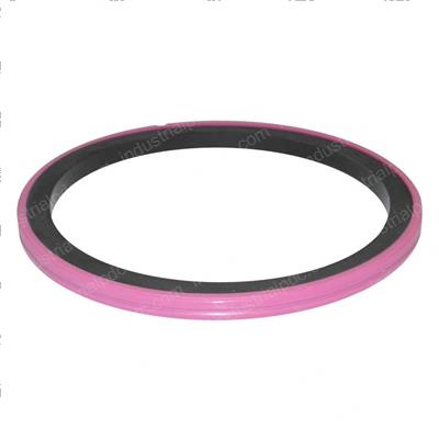 Picture of Ring - Support