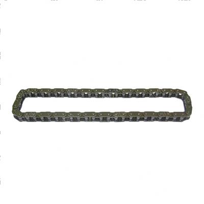 Picture of Chain - Timing