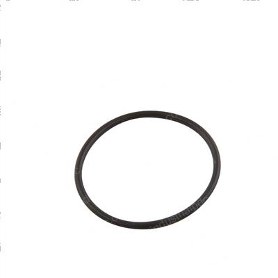 Picture of O-Ring