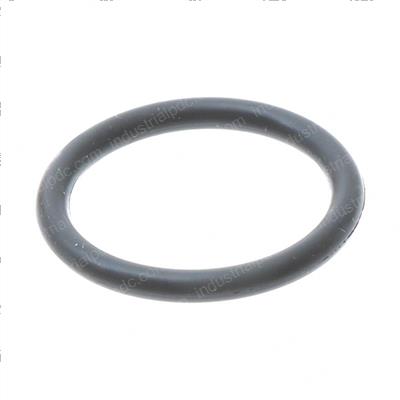 Picture of O-Ring