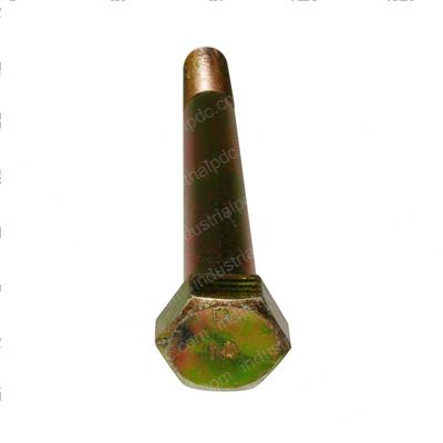 Picture of Bolt