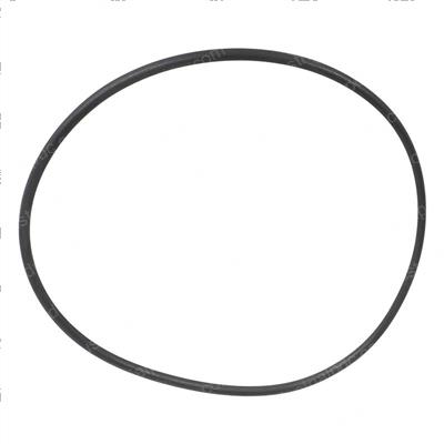 Picture of O-Ring