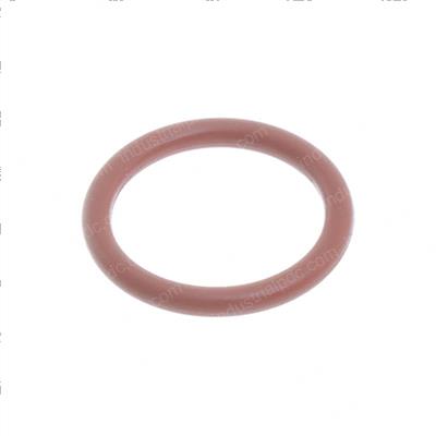 Picture of O-Ring
