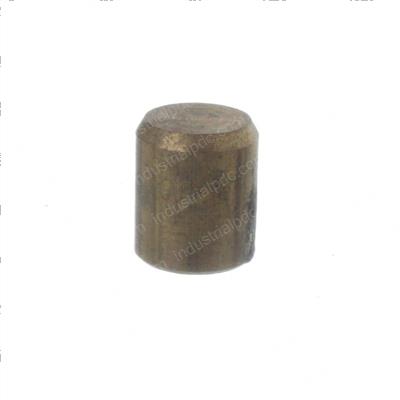 Picture of Pin